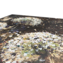 Load image into Gallery viewer, Wish Canvas