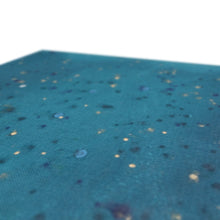 Load image into Gallery viewer, Midnight Wish Canvas