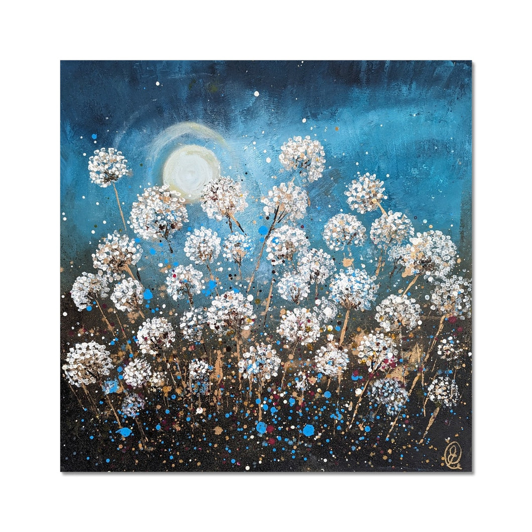 Moonlight Wish  Fine Art Print